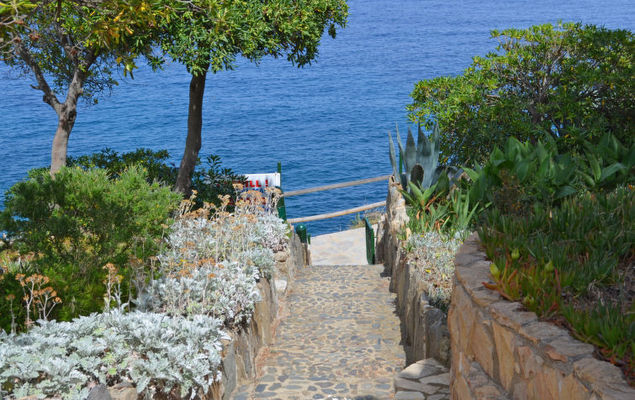 El Paraiso - Photo 10