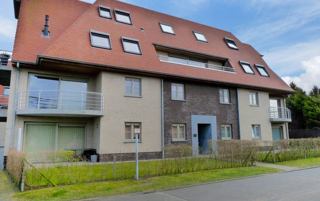 Belle Rose - Photo 5