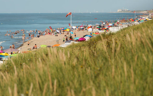 Belle Rose - Photo 6