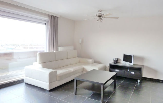 Belle Rose - Photo 9