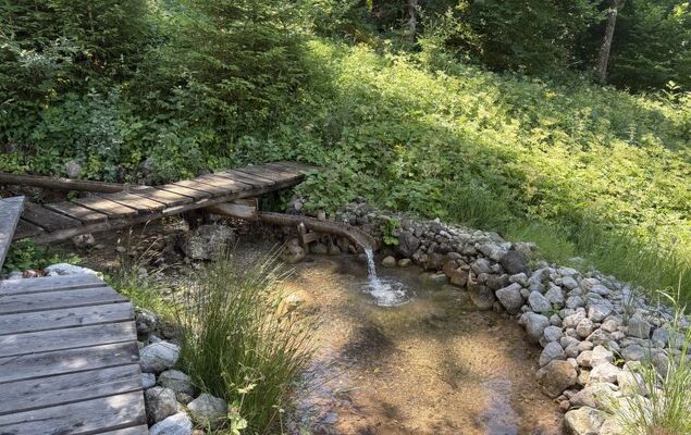 Schipplbadstube - Photo 27