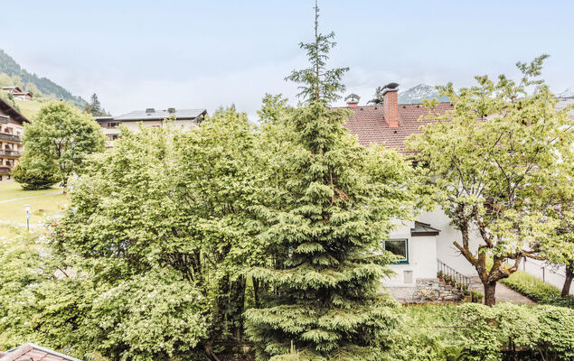 Bella Vista - Photo 20