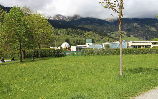 Bella Vista - Photo 30