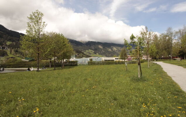 Bella Vista - Photo 33